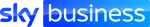 sky business logo.